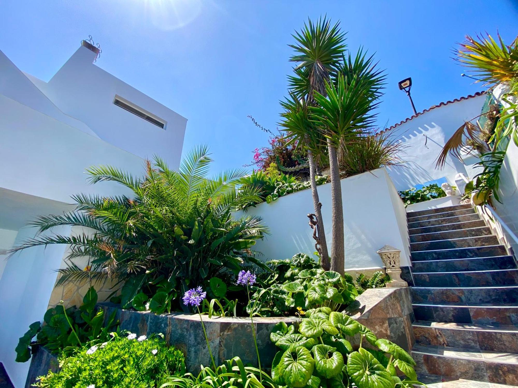 Villa Oasis La Paz - Pelinor Studio - Adults Only プエルト・デ・ラ・クルス エクステリア 写真