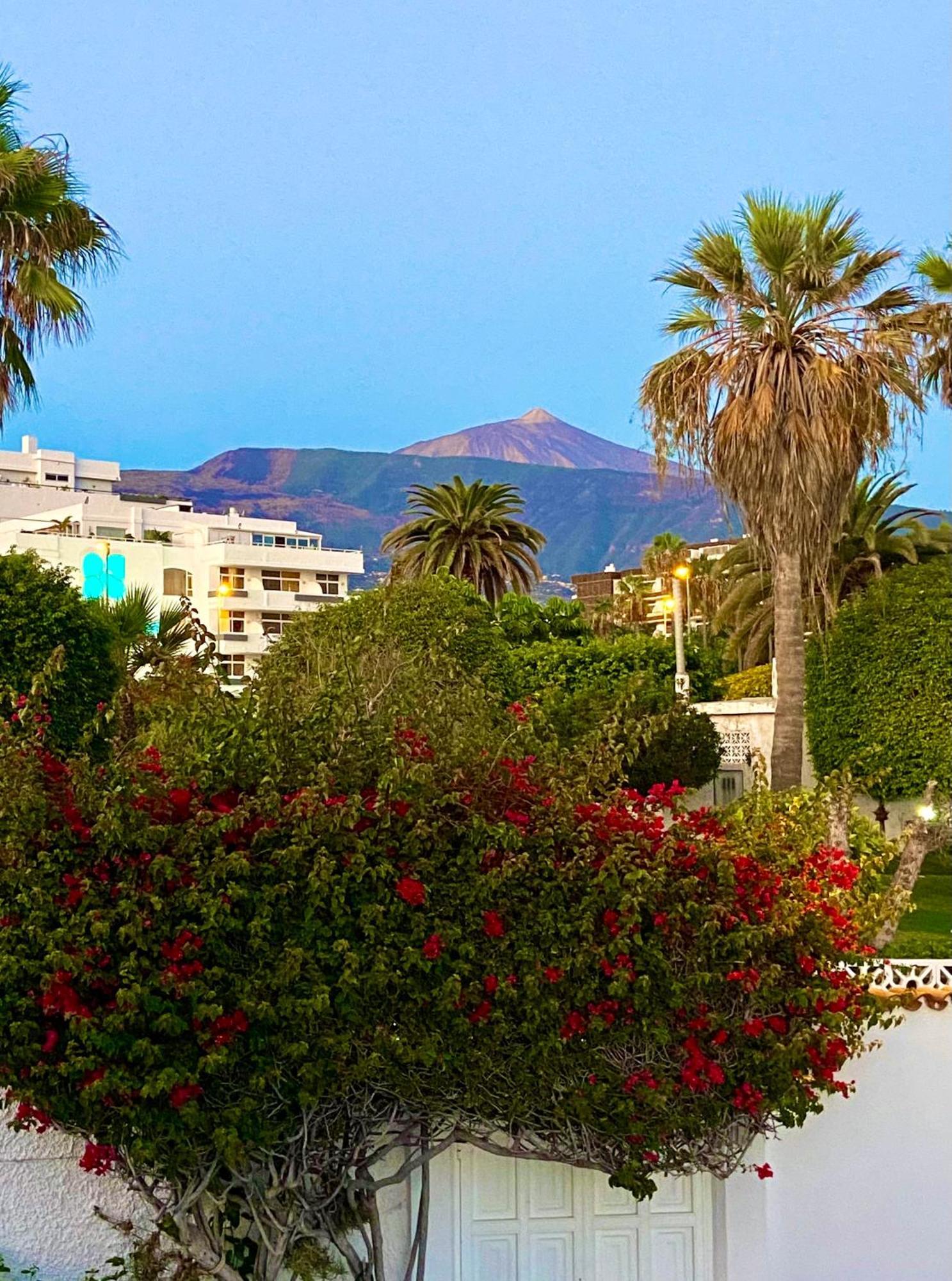 Villa Oasis La Paz - Pelinor Studio - Adults Only プエルト・デ・ラ・クルス エクステリア 写真