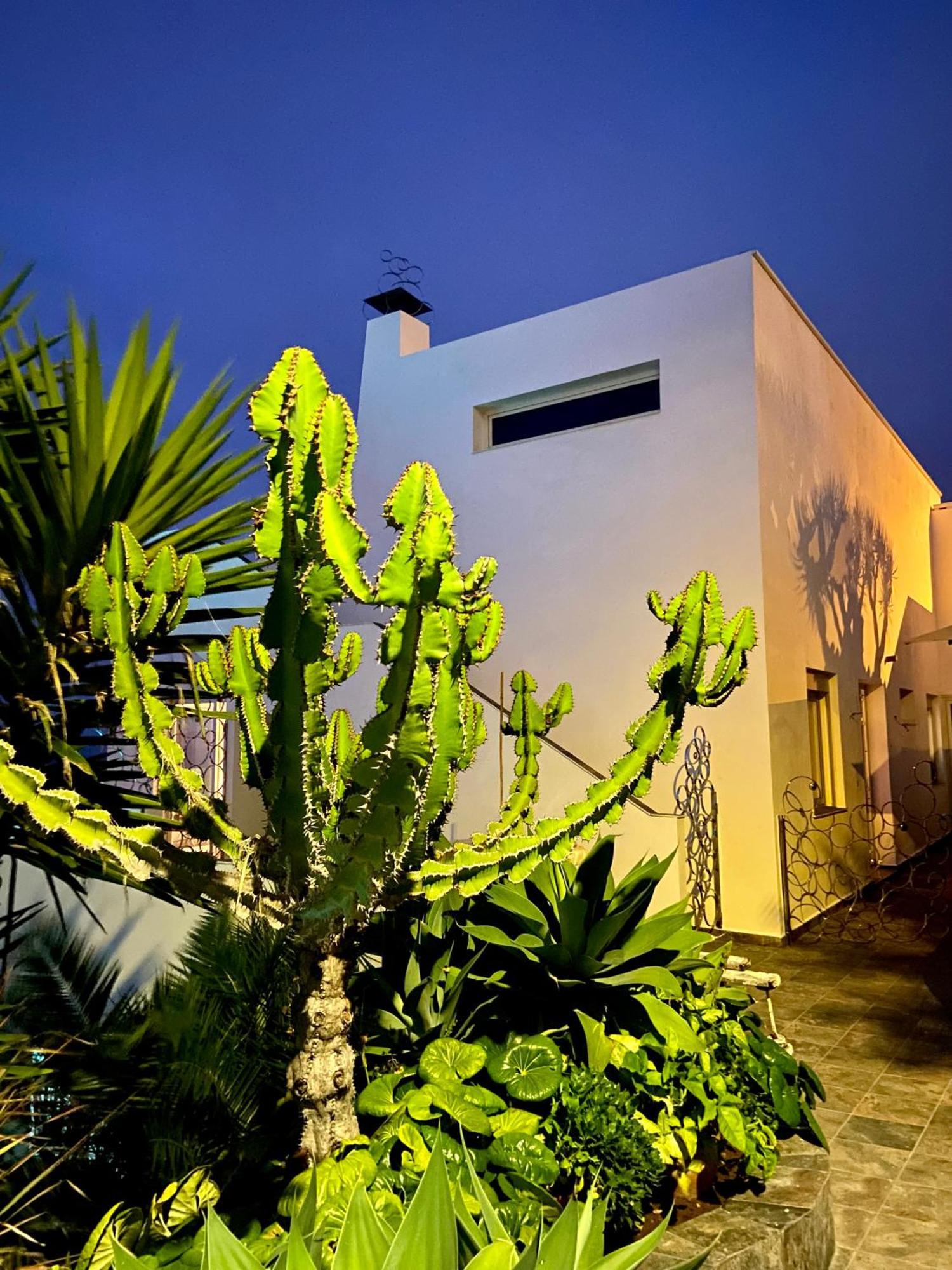 Villa Oasis La Paz - Pelinor Studio - Adults Only プエルト・デ・ラ・クルス エクステリア 写真