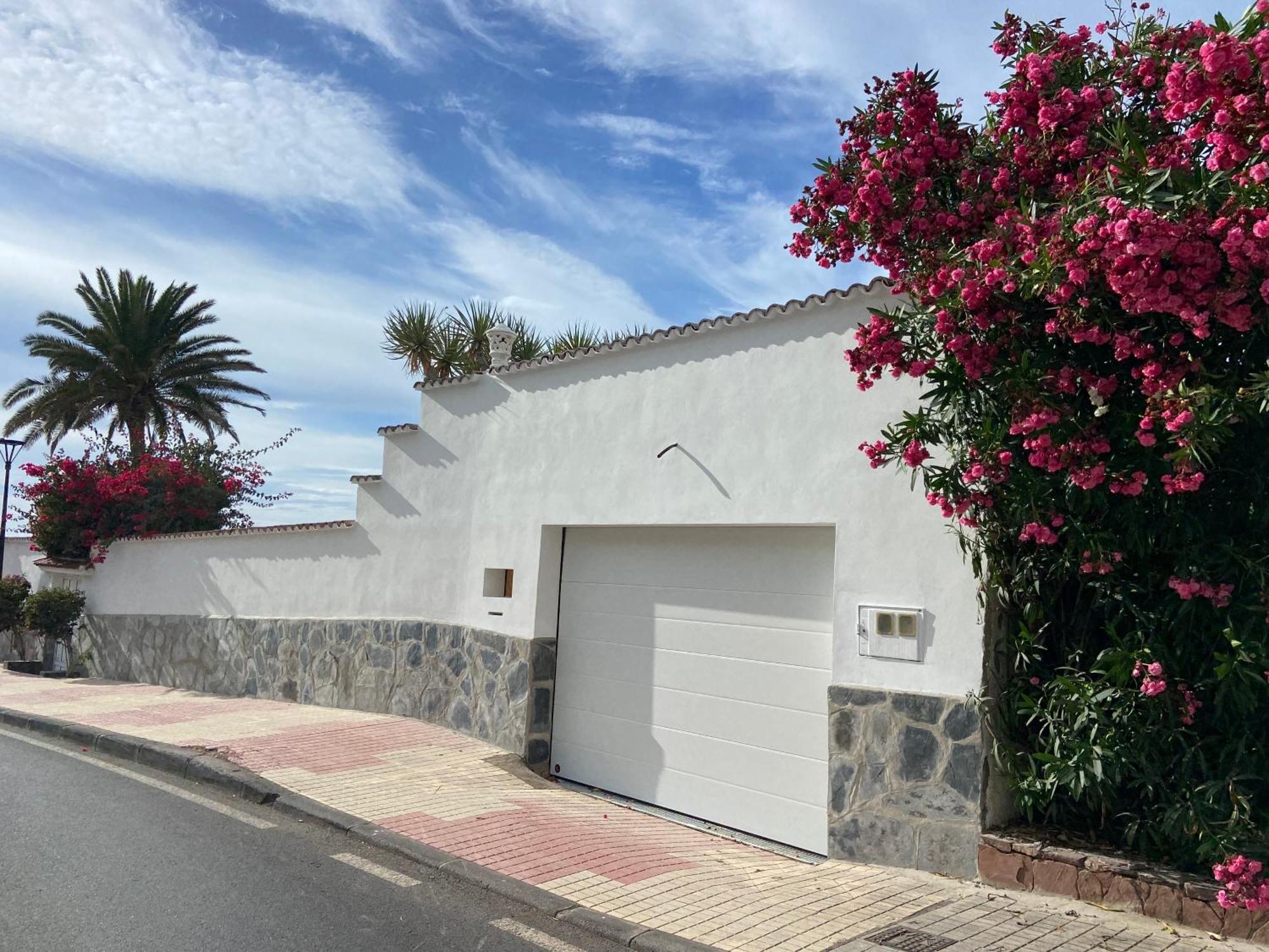 Villa Oasis La Paz - Pelinor Studio - Adults Only プエルト・デ・ラ・クルス エクステリア 写真