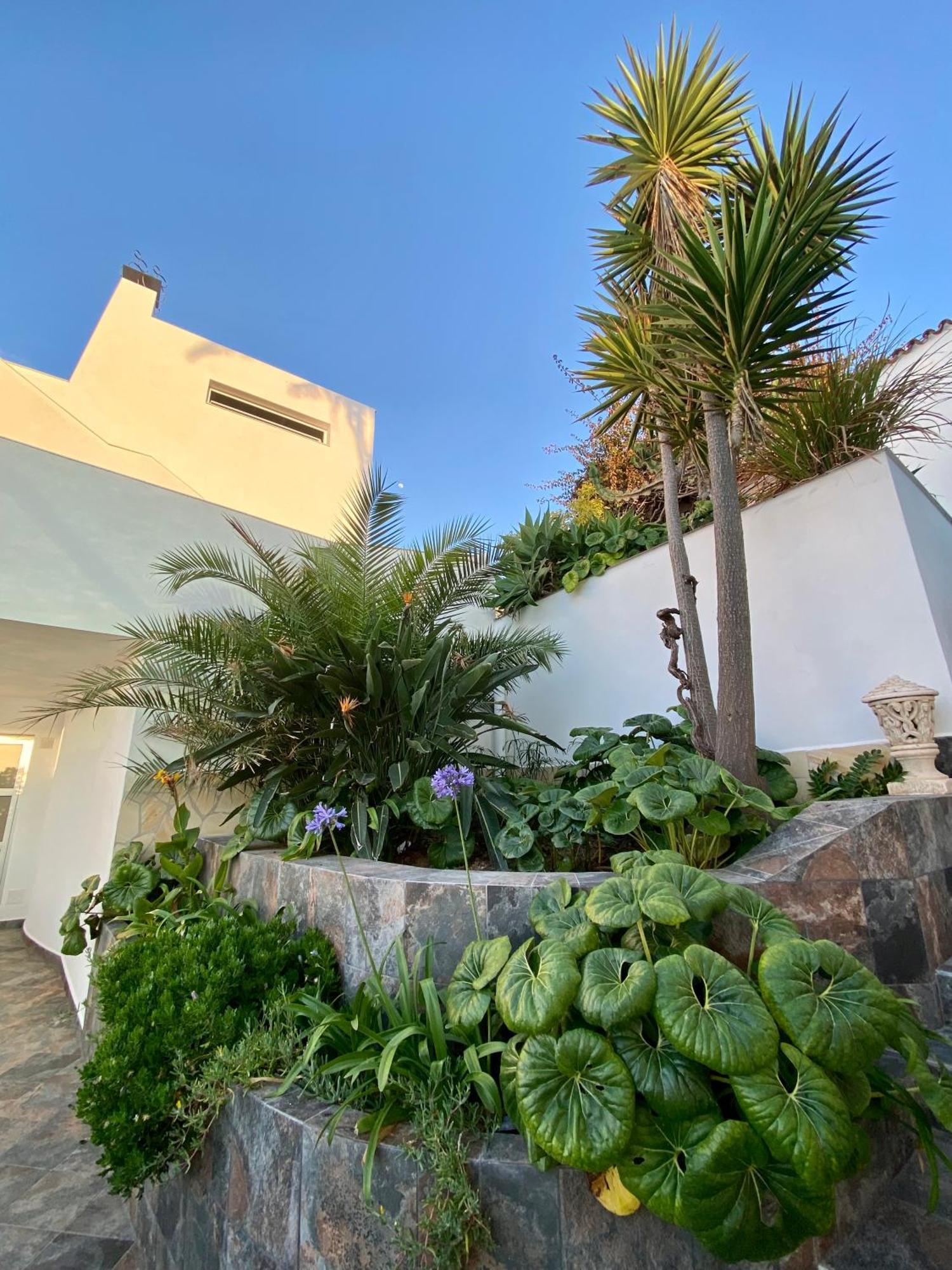 Villa Oasis La Paz - Pelinor Studio - Adults Only プエルト・デ・ラ・クルス エクステリア 写真