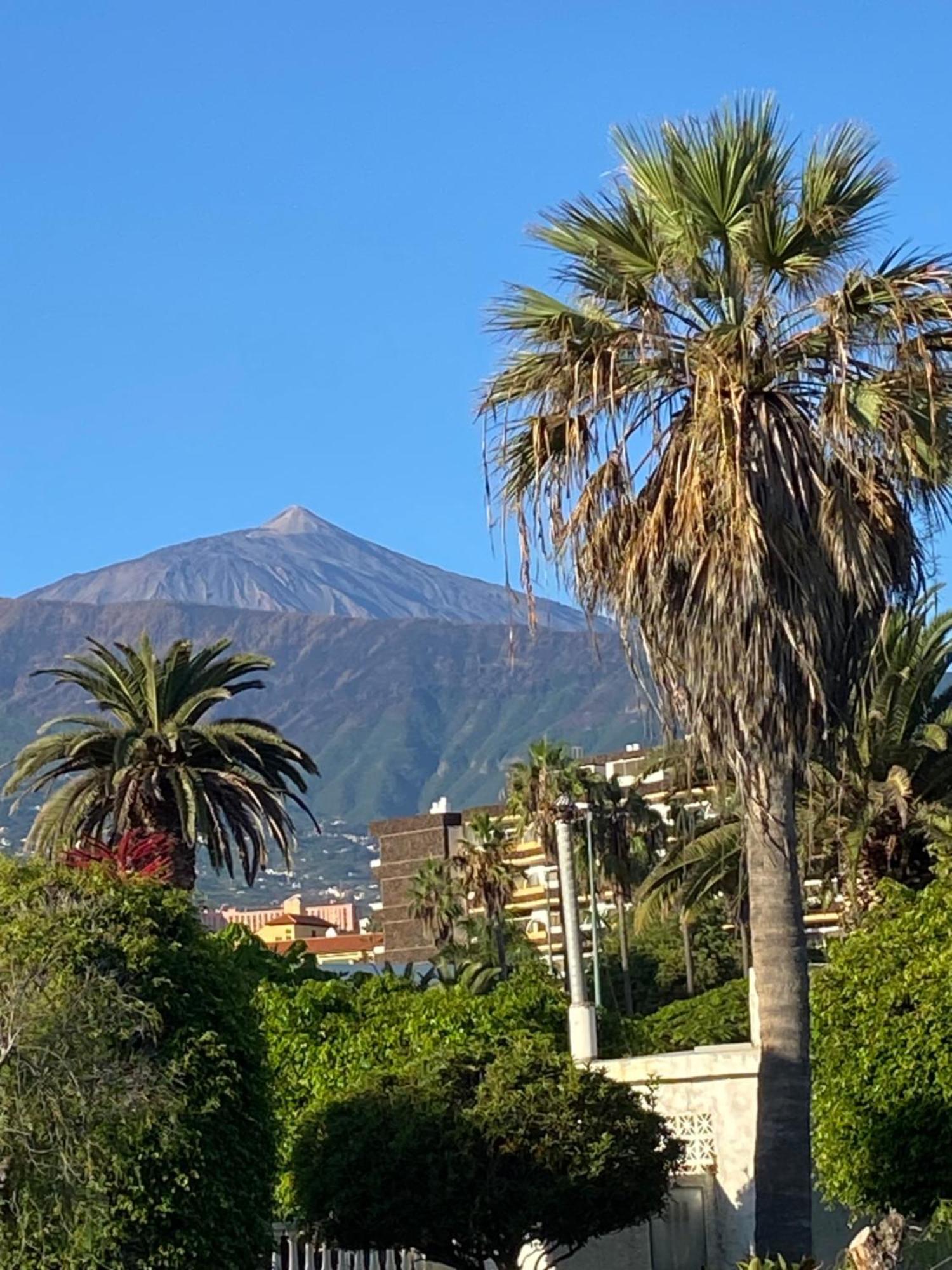 Villa Oasis La Paz - Pelinor Studio - Adults Only プエルト・デ・ラ・クルス エクステリア 写真