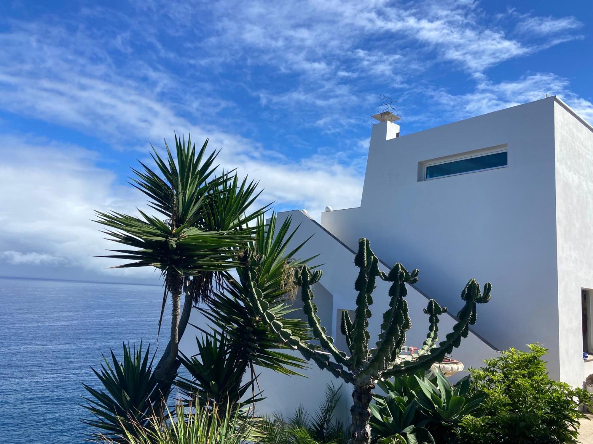 Villa Oasis La Paz - Pelinor Studio - Adults Only プエルト・デ・ラ・クルス エクステリア 写真
